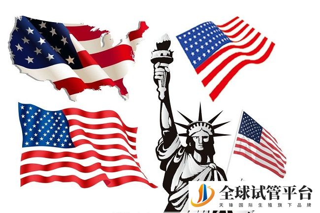 美国试管婴儿