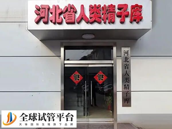 石家庄单身女性能在精子库申请精子做试管婴儿吗？