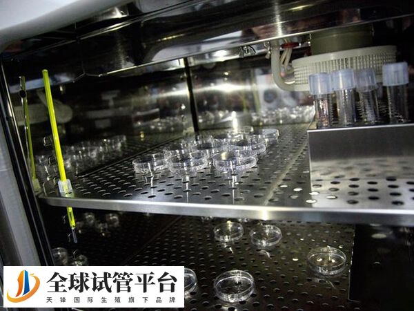 地下医院供卵卵源得不到保障