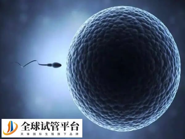 出现宫外孕需及时就医