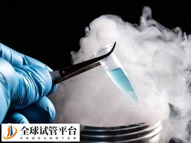 胚胎冷冻费用怎么算的
