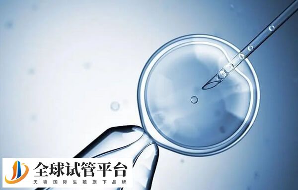 鲜胚6c2和7c2质量怎么样