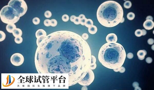 精子活力低做试管怎么办