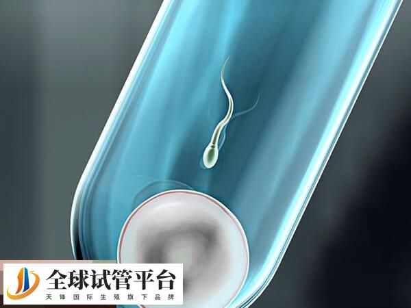 没达到冷冻标准的囊胚能移植，种植成功率高不高赶紧看
