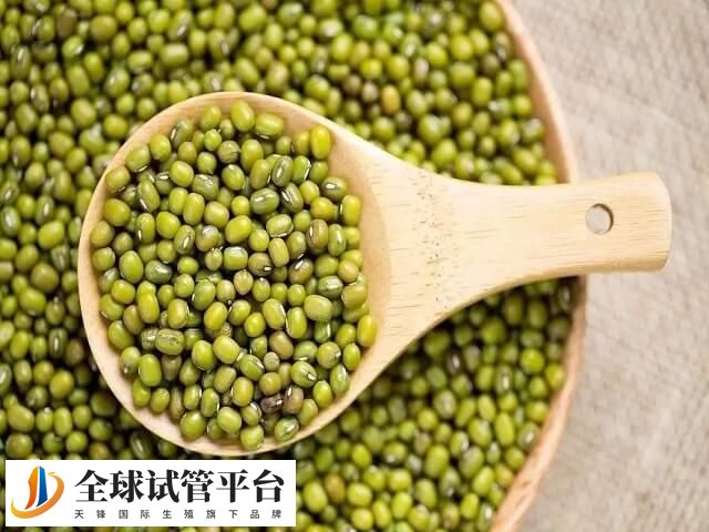 做试管移植后吃绿豆好不好