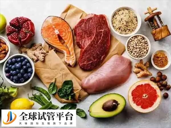 试管移植前补充蛋白质有没有用