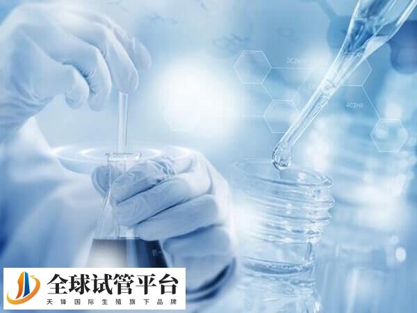 取卵的疼痛程度有多大