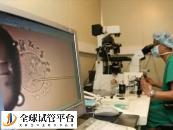 为什么要分开进行取卵和胚胎移植