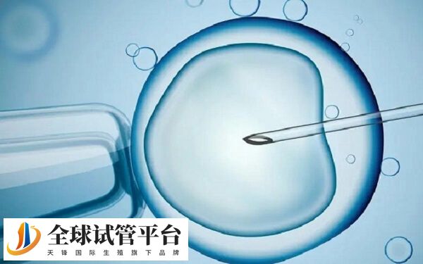 中信湘雅试管成功率高