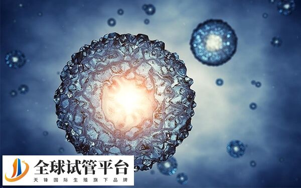 冻囊胚的保存方式是通过将囊胚置于196度的液氮中
