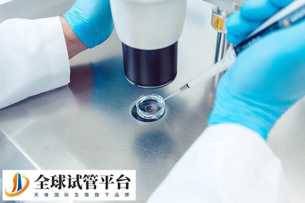 在深圳做试管婴儿的费用并不会很贵