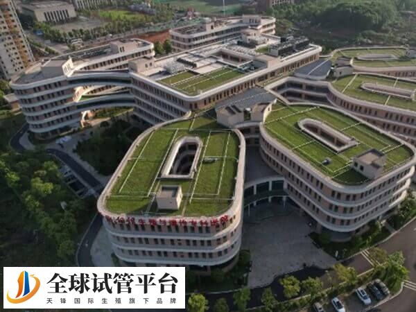 ‌中信湘雅试管成功率高