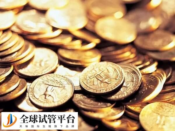 山大附属医院三代试管收费价格高