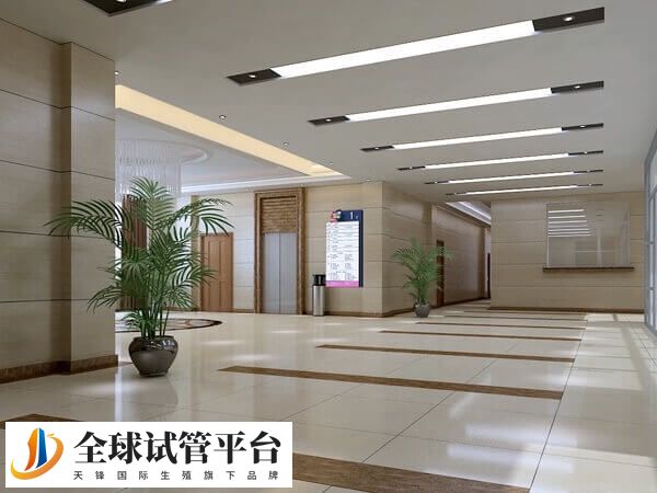 邢台做试管最好的医院有哪些
