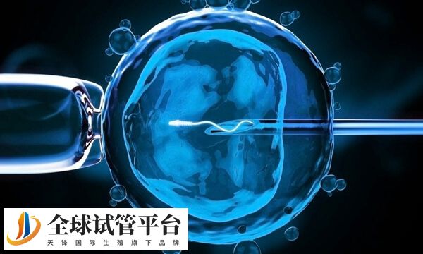 合肥第三代试管医院共有2家