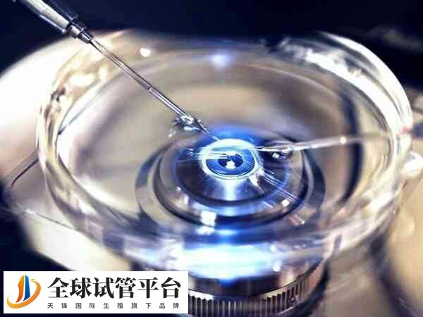 一代试管婴儿技术也称为体外受精-胚胎移植