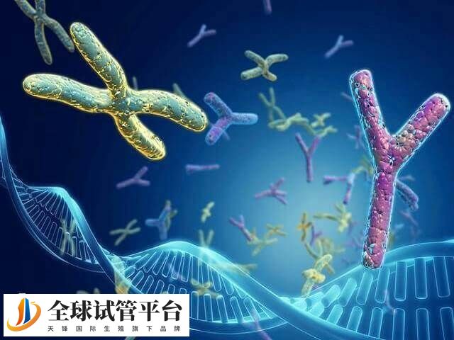 AZFb区1192缺失是一种Y染色体微缺失