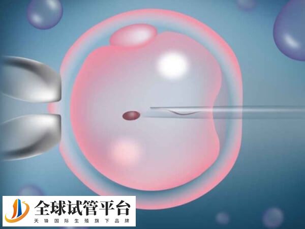 泰国四代试管技术违背伦理