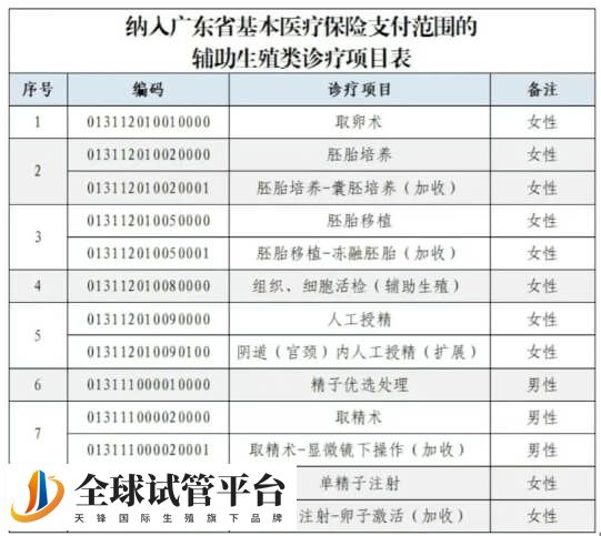 揭阳试管婴儿报销项目