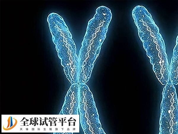 帕金森综合症对生育力的影响并不是特别大