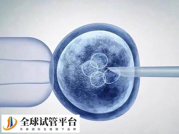 三代试管可选择无致病基因的胚胎移植