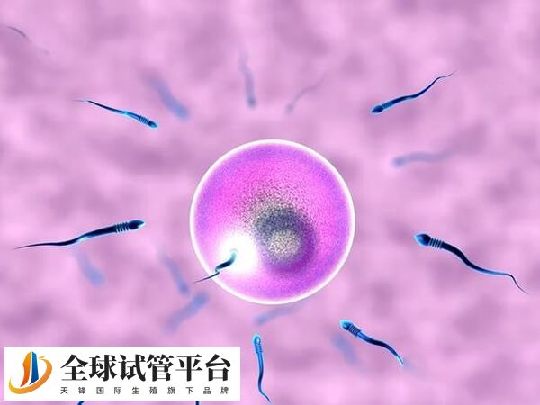 养囊是一个利弊共存的过程