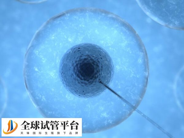 试管胃胀可不可以移植