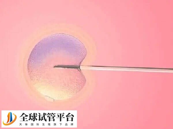 促排和治疗排卵障碍注射普丽康剂量不同