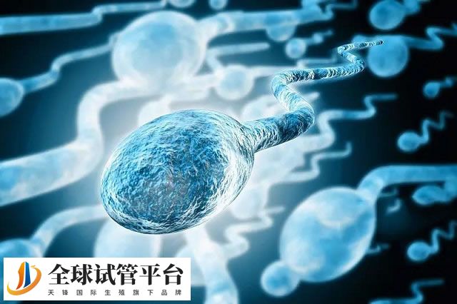 弓形子宫怀孕后六大注意事项汇总，提高警惕可安全度过孕期