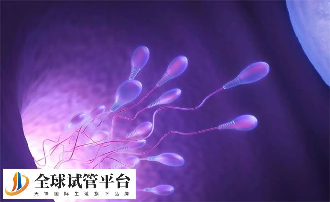 女人生二胎的最佳年龄是多少？超过这个年龄就后悔了