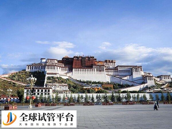 西藏大部分医院都有开展不孕不育相关诊治科室