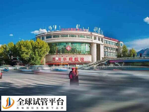 西藏大学附属阜康医