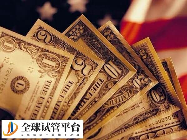 不同患者在衡阳做试管的费用不同