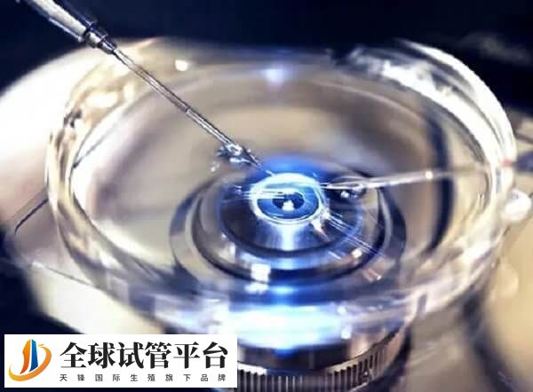 广东佛山试管婴儿技术