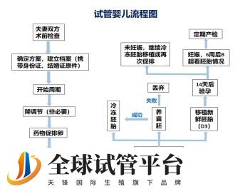 移植胚胎当天夫妻双方是不是都要到医院