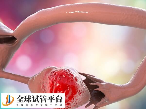 为什么出现输卵管堵塞