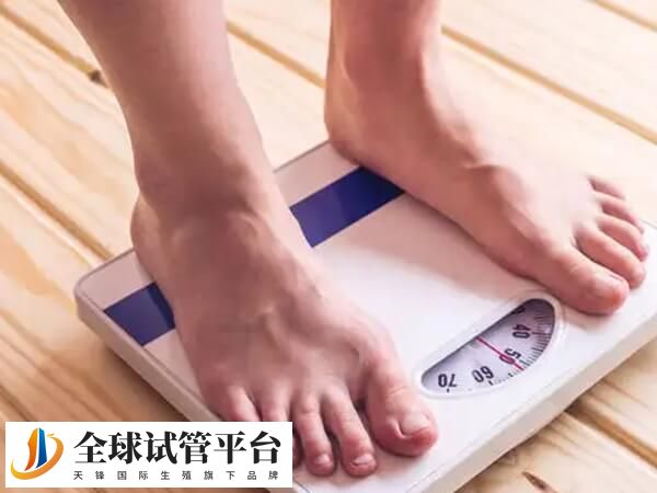 肥胖患者做试管建议先减肥