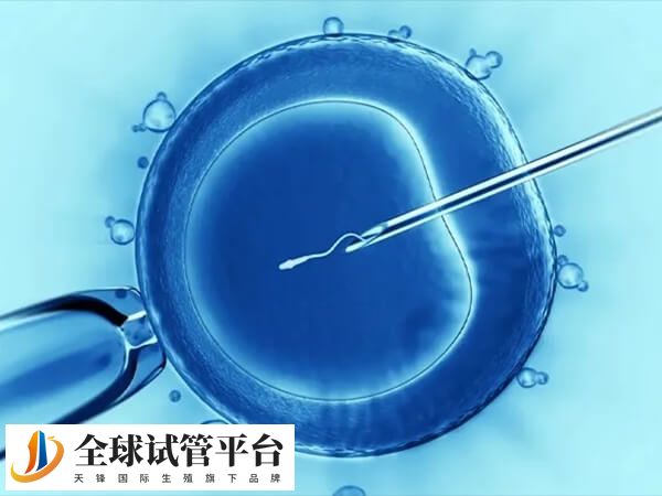 试管婴儿手术是一项颇具风险的生育方式
