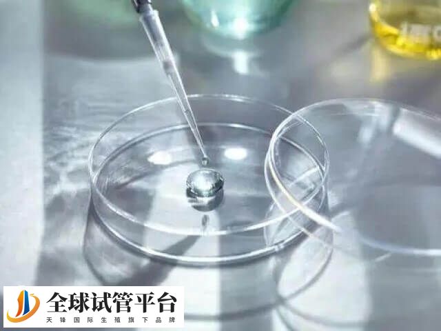 三代试管又称胚胎植入前遗传学诊断/筛查