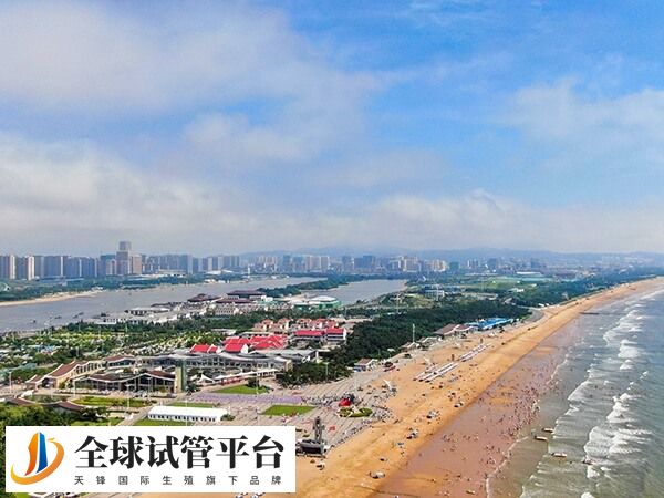 日照没有医院开展辅助生殖技术