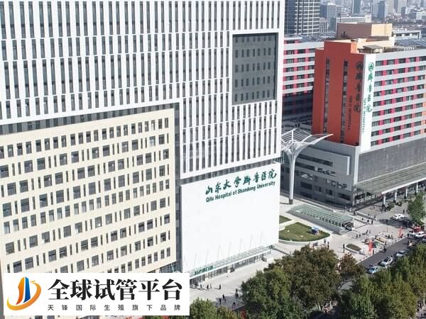 山东大学齐鲁医院