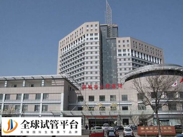 聊城试管婴儿医院成功率排名比较好的有哪些？