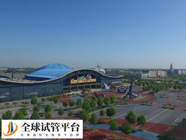 德州有试管婴儿医院