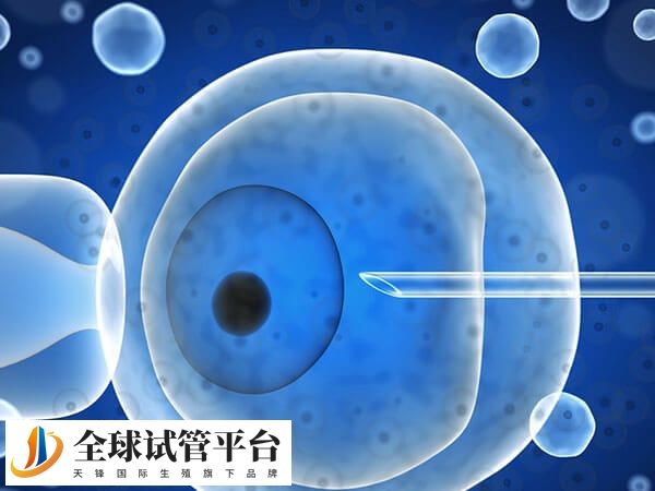 37岁高龄试管婴儿一次成功率不高
