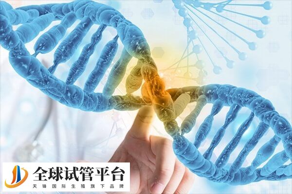 血友病是遗传病