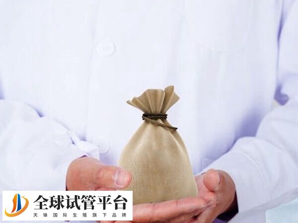 广西做试管的费用因人而异