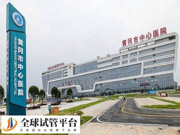 黄冈市中心医院做试管婴儿费用多少