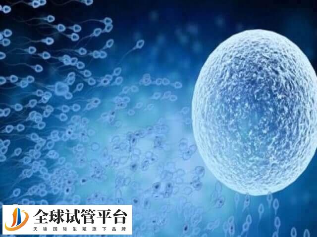 促排卵是做试管婴儿的流程之一