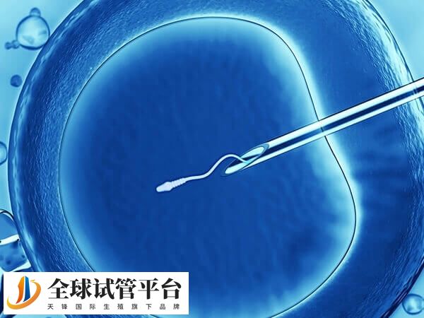 德阳市没有医院开展试管婴儿技术