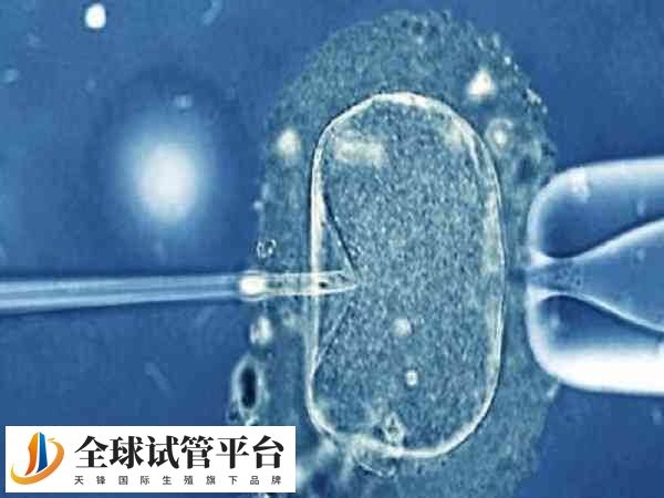 卵泡不破怎么调理身体